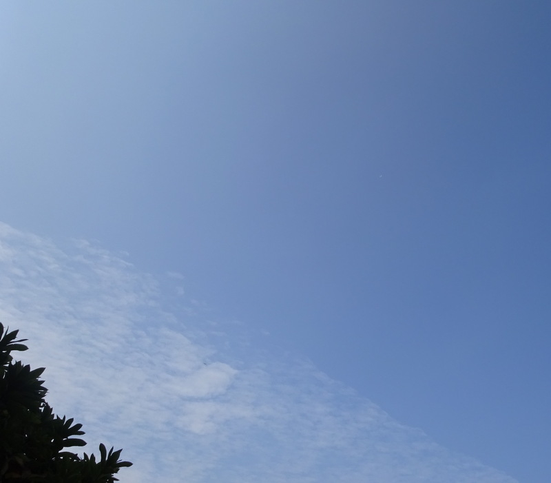 1dsc07177