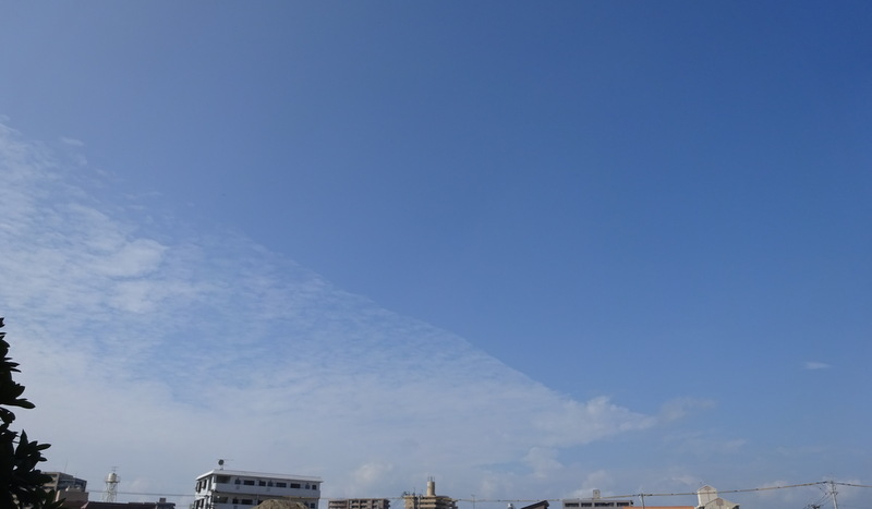 1dsc07178