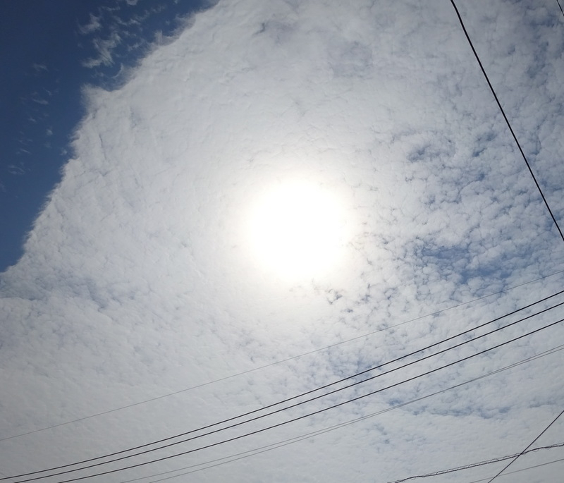 1dsc07189
