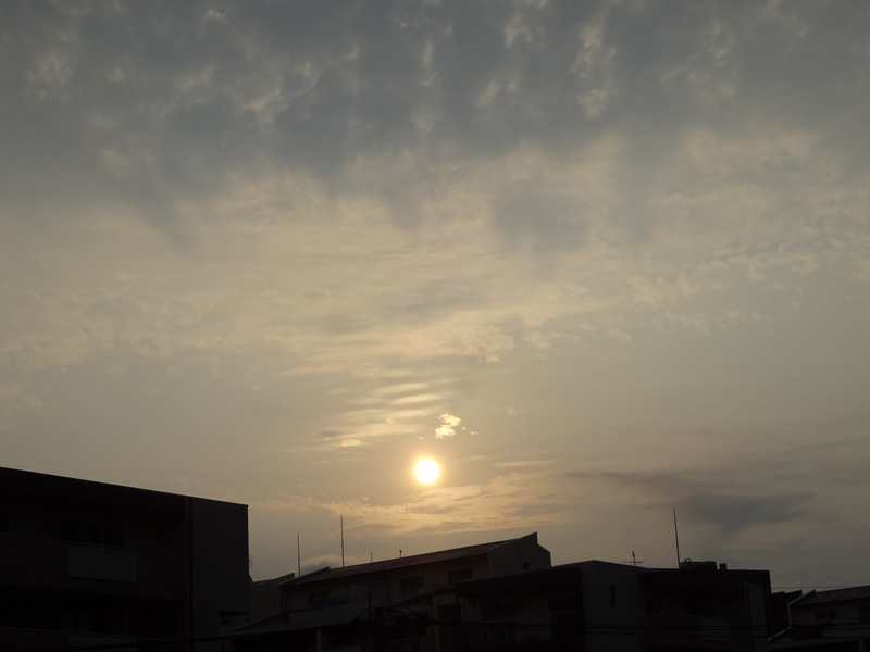 1dsc07214