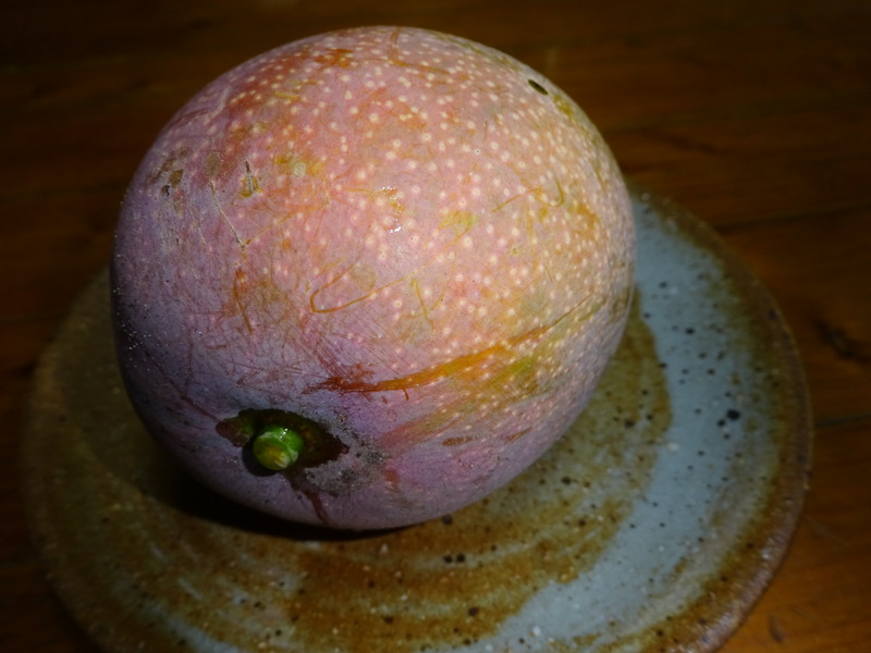 1dsc07225