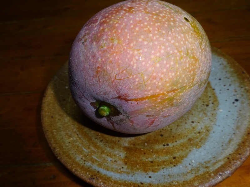 1dsc07235