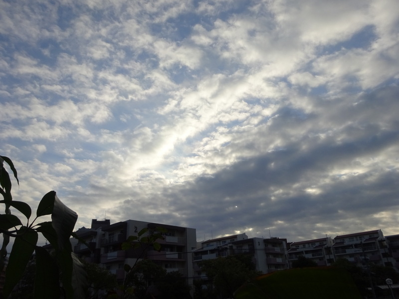 1dsc07266_2