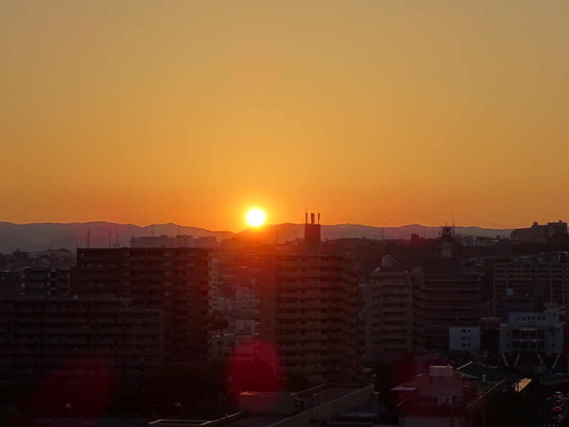 1dsc07309