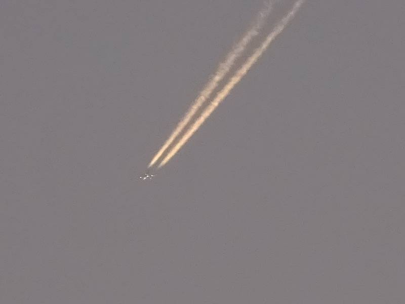 1dsc07328