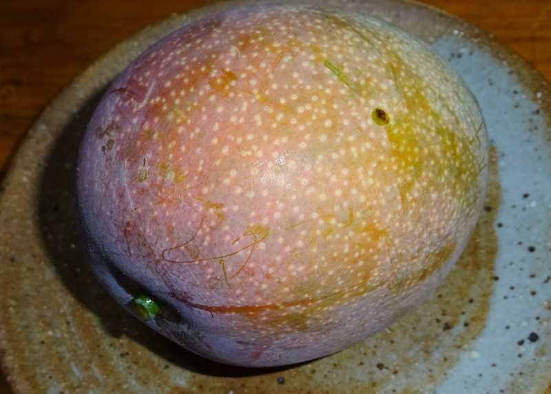 1dsc07249001