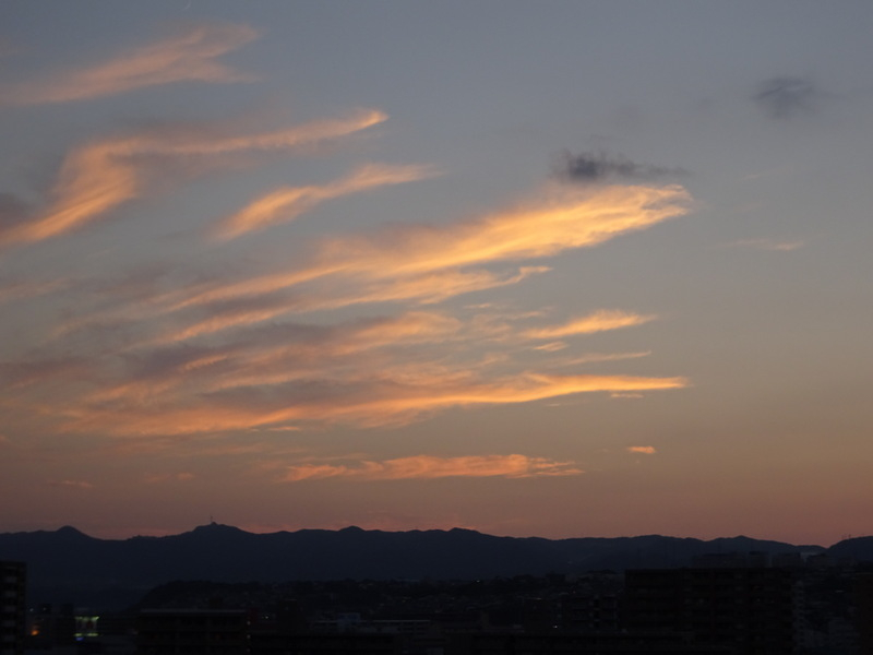 07dsc07756 07dsc07756