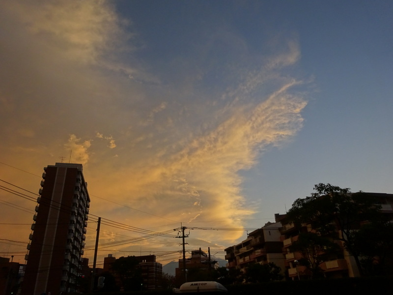 1dsc07665