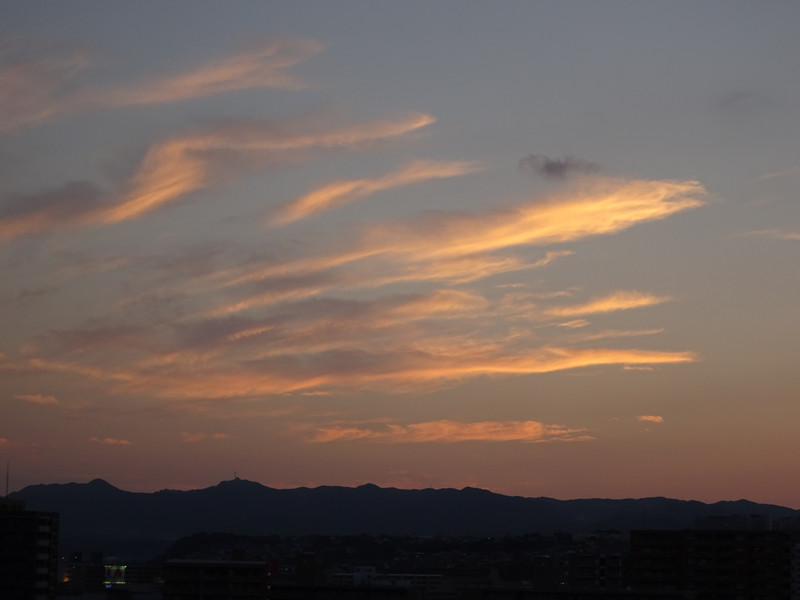 Dsc07753 Dsc07753