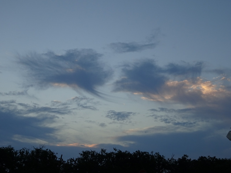 1dsc07769001