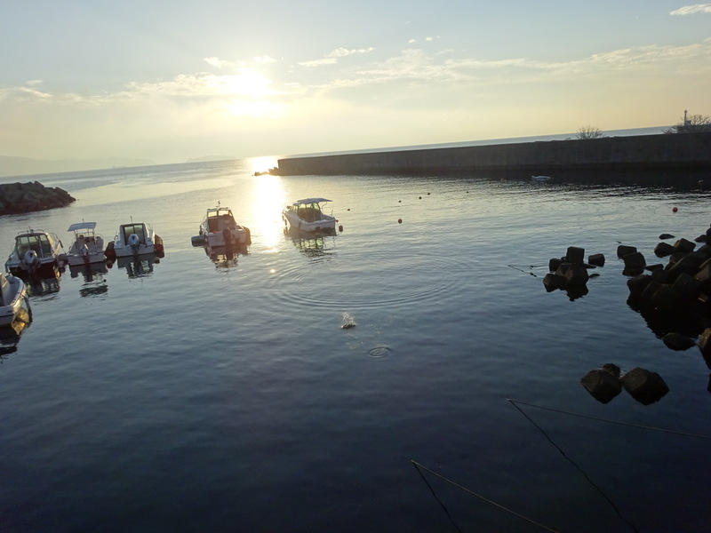 1dsc07845_2