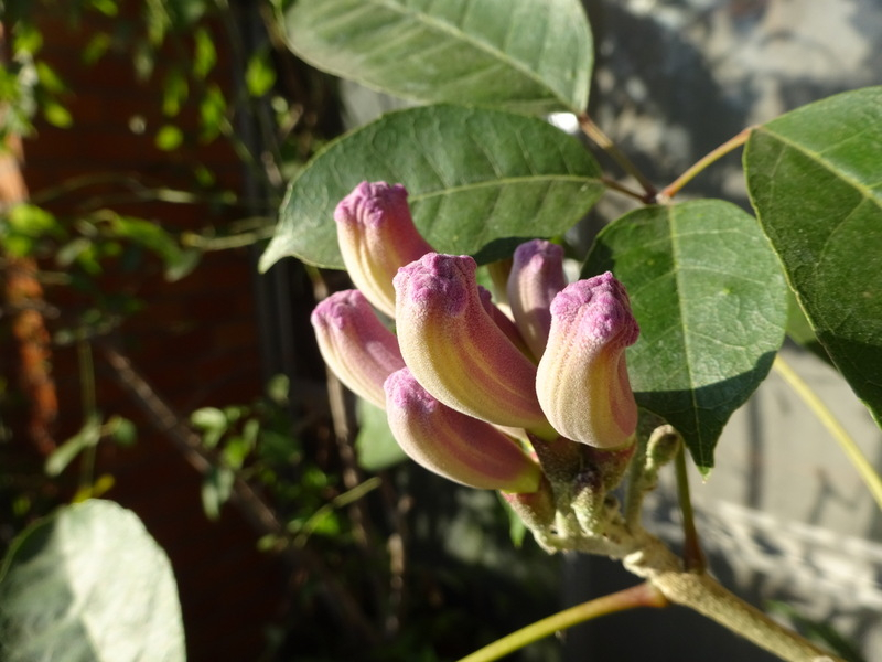 1dsc07863