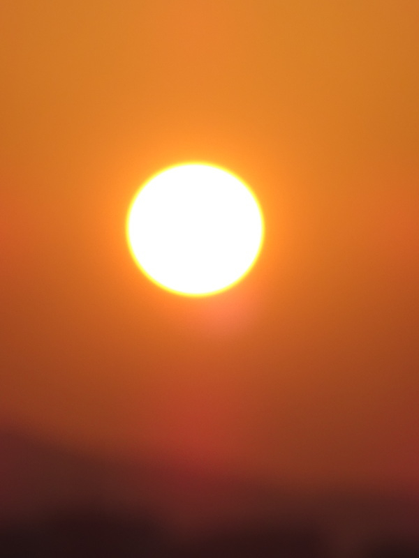 1dsc07885