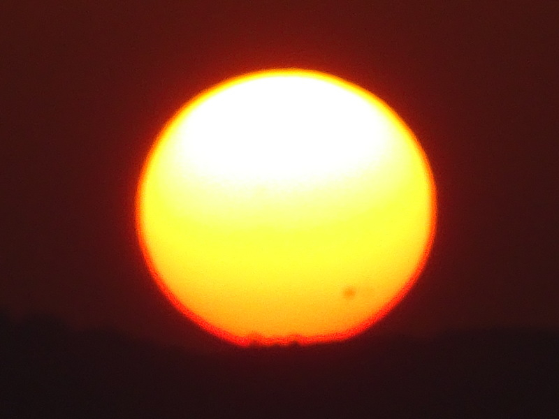 1dsc07898_2
