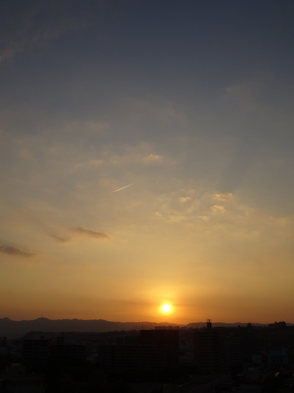 1dsc07956