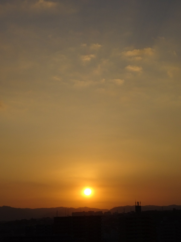 1dsc07961