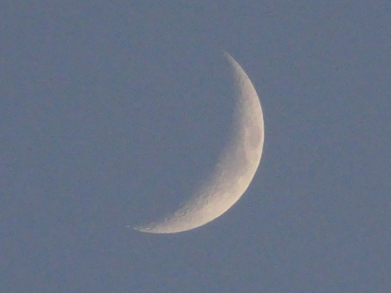 1dsc08004_2