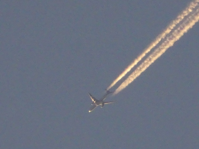 1dsc08005