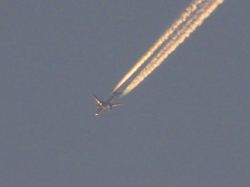 1dsc08006