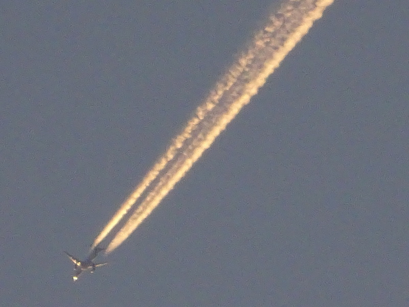 1dsc08007