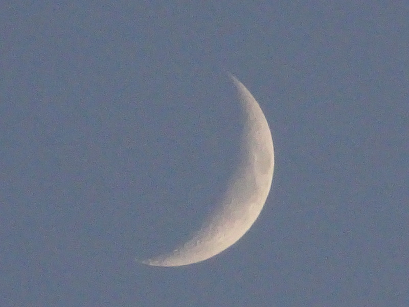 1dsc08009