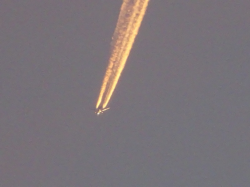 1dsc08013