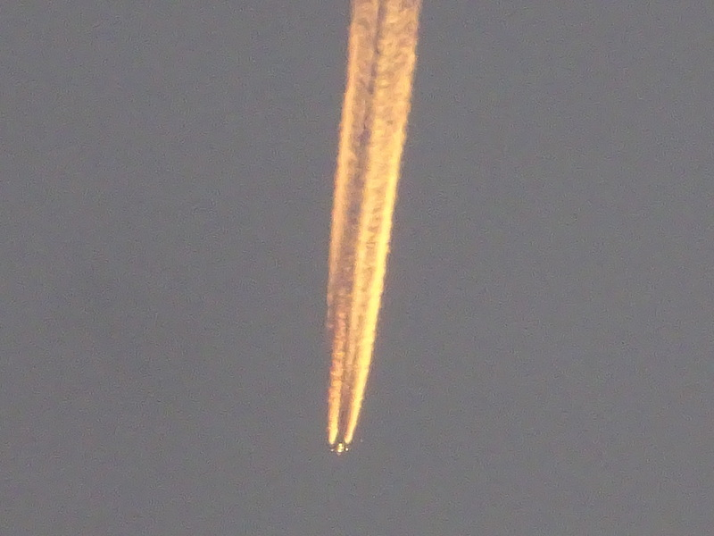 1dsc08017