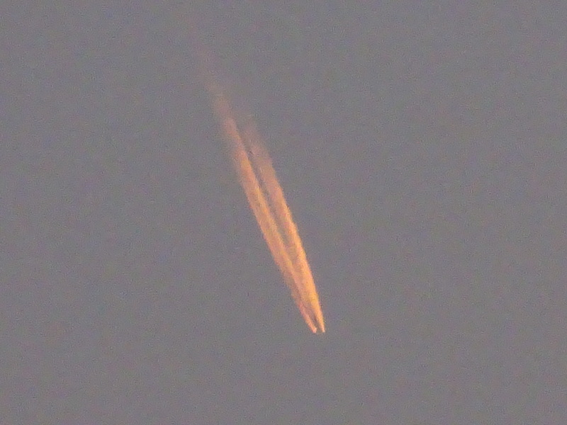 1dsc08024