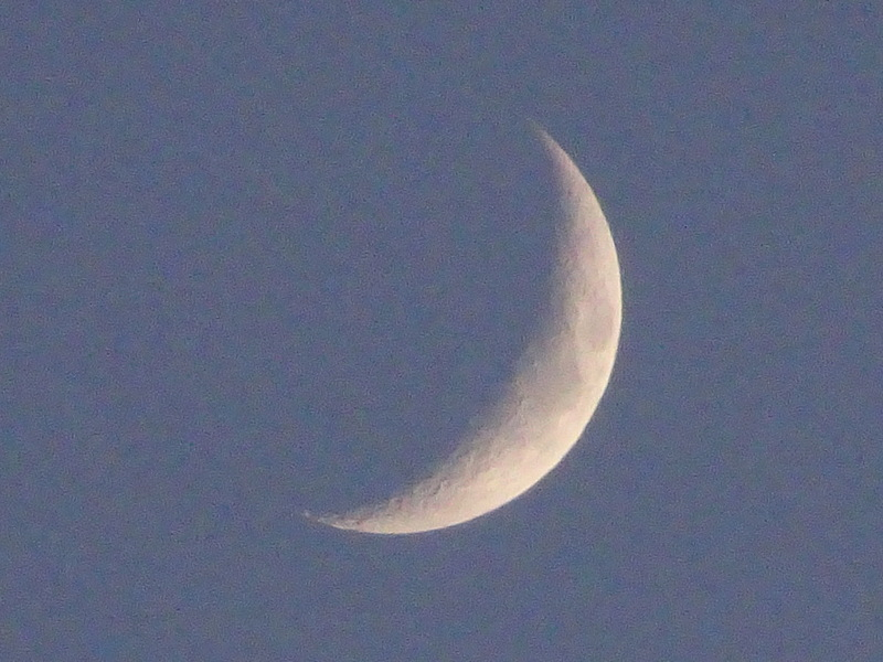1dsc08025