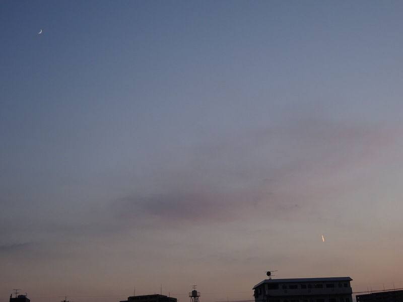 1dsc08023