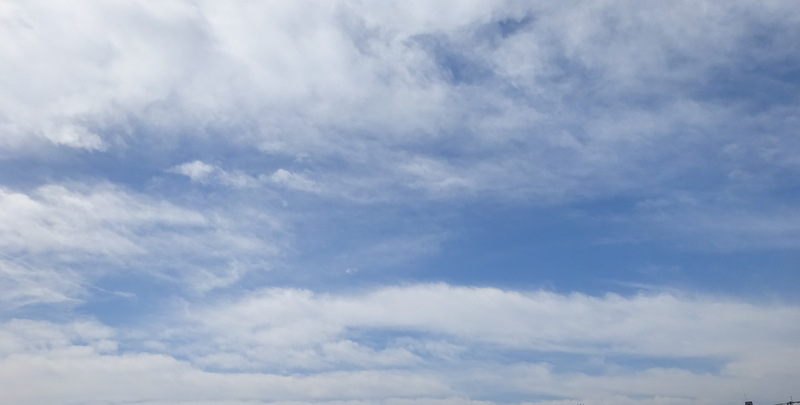 1dsc08046001_2