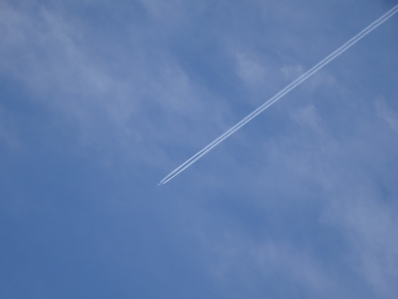 1dsc08051