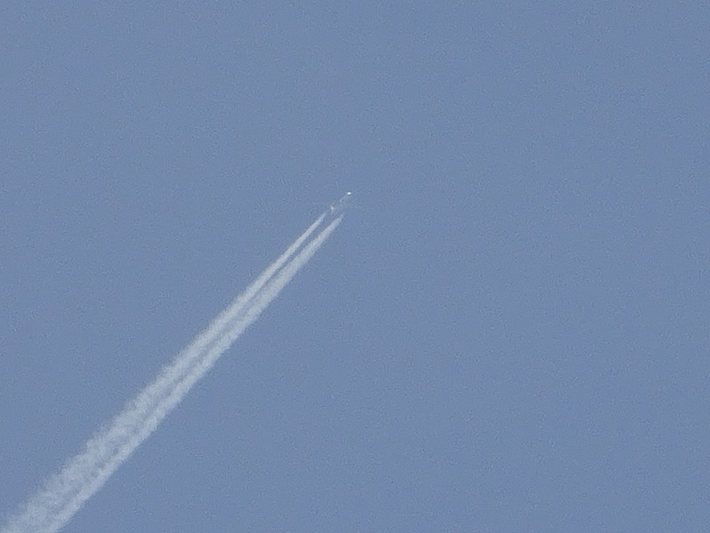 1dsc08054