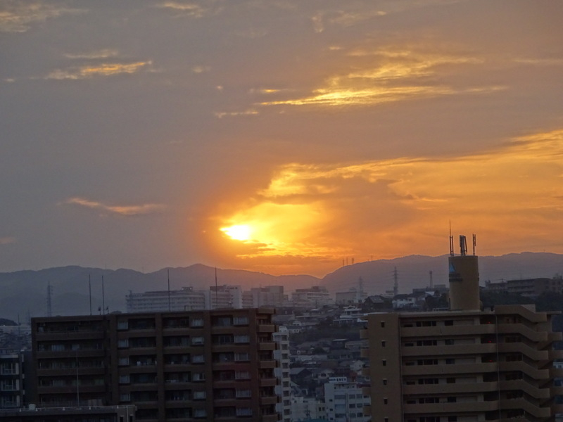 1dsc08086