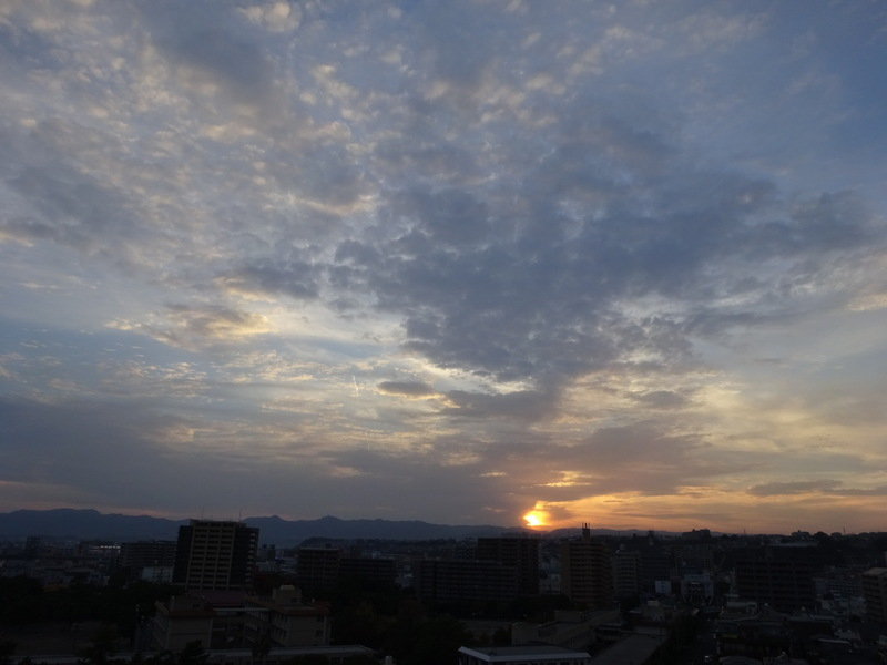 1dsc08093