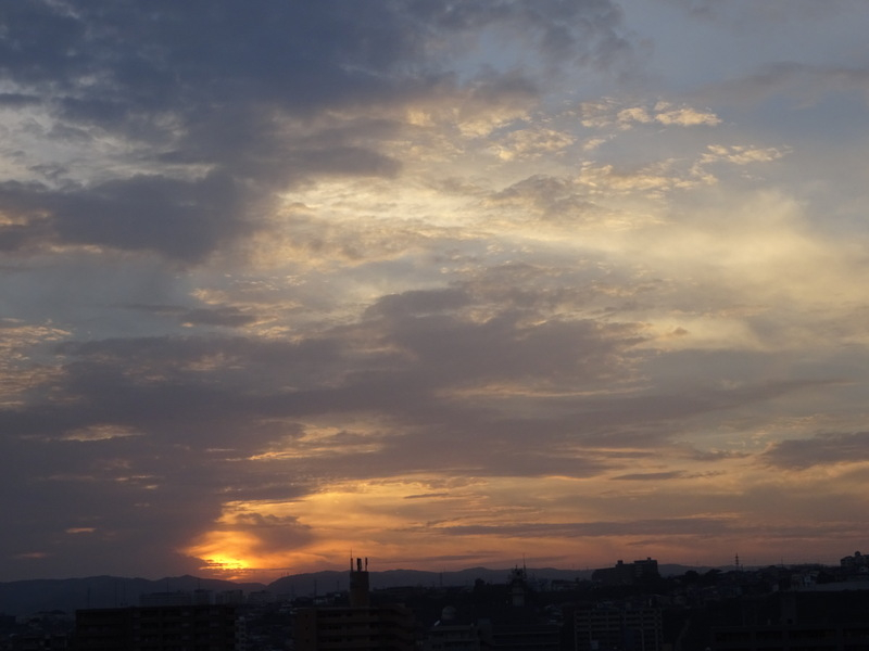 1dsc08103