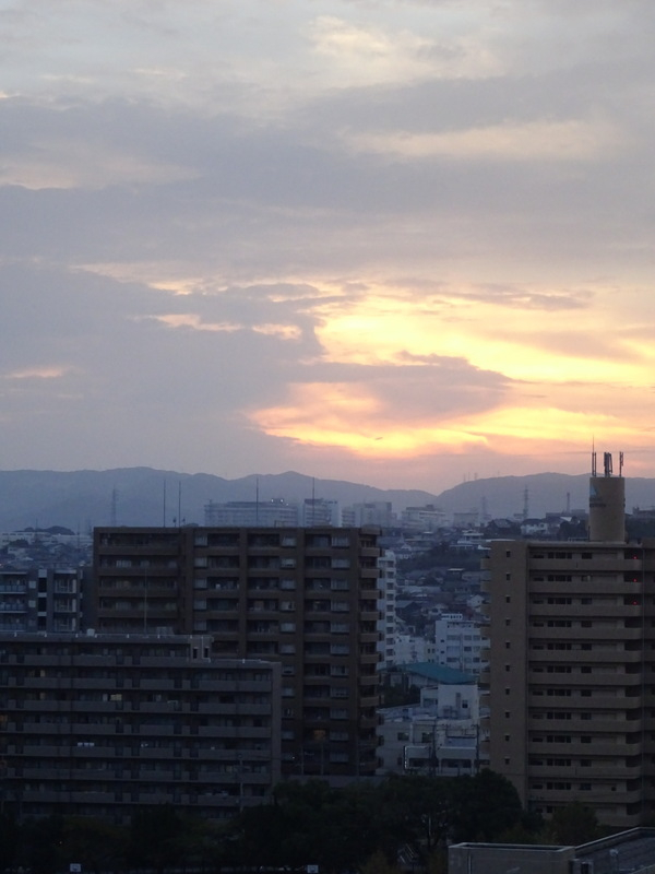 1dsc08120