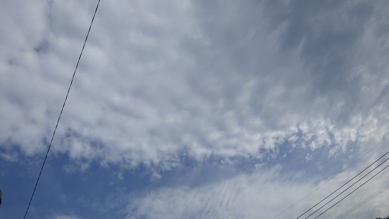 1dsc08144_2