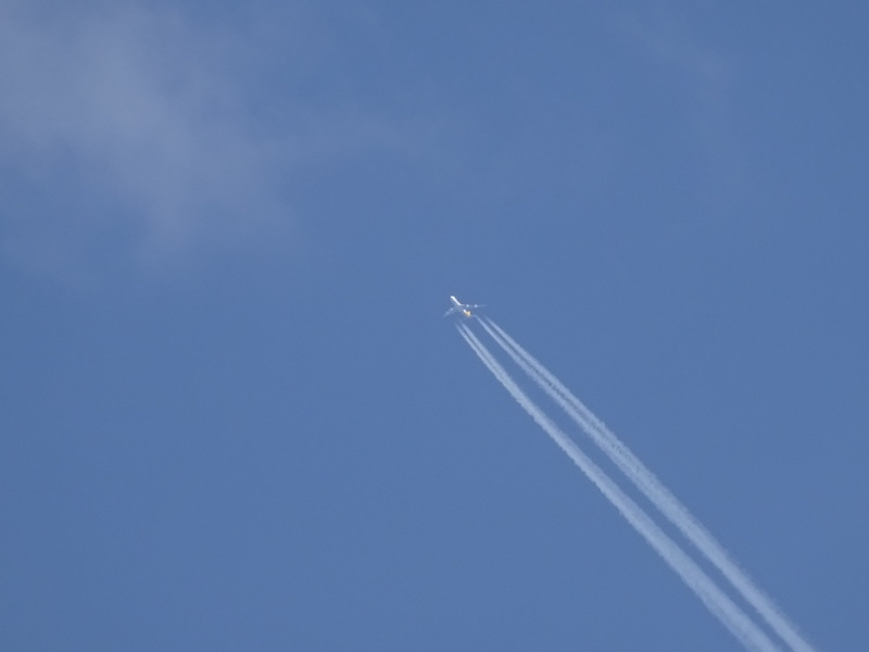 1dsc08145