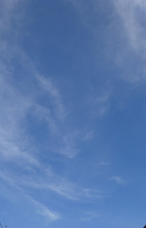 1dsc08146