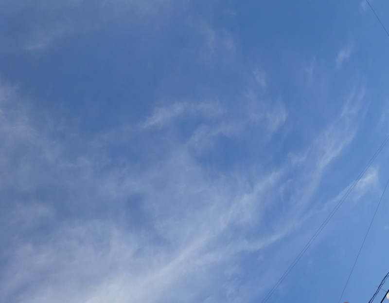 1dsc08147