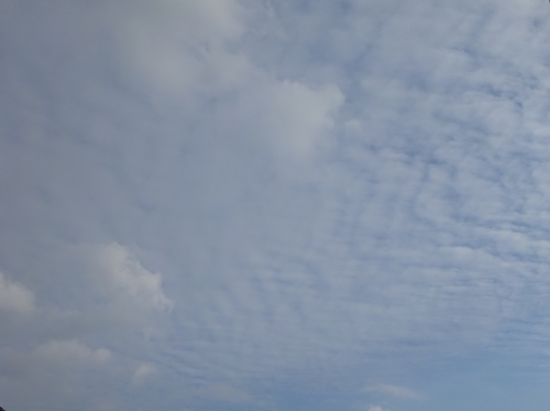 1dsc08153_2