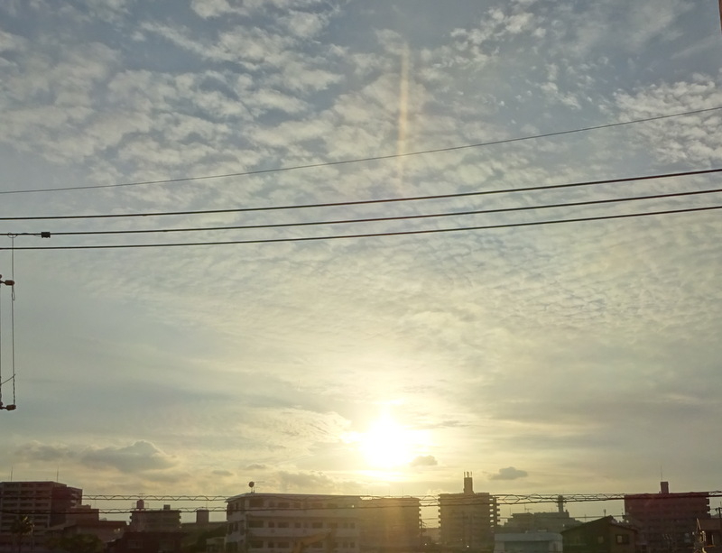 1dsc08154