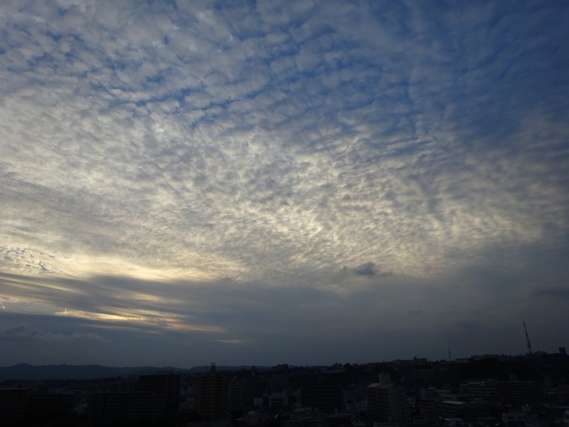 1dsc08158