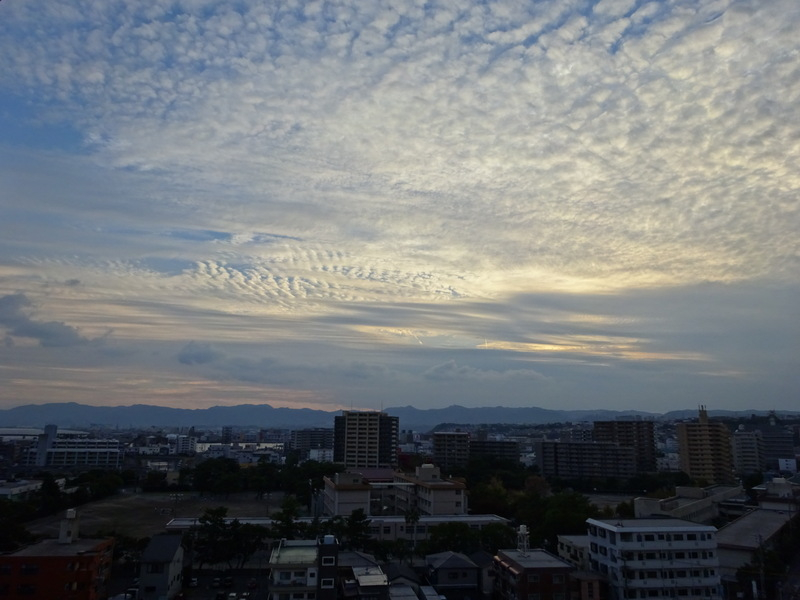 1dsc08160