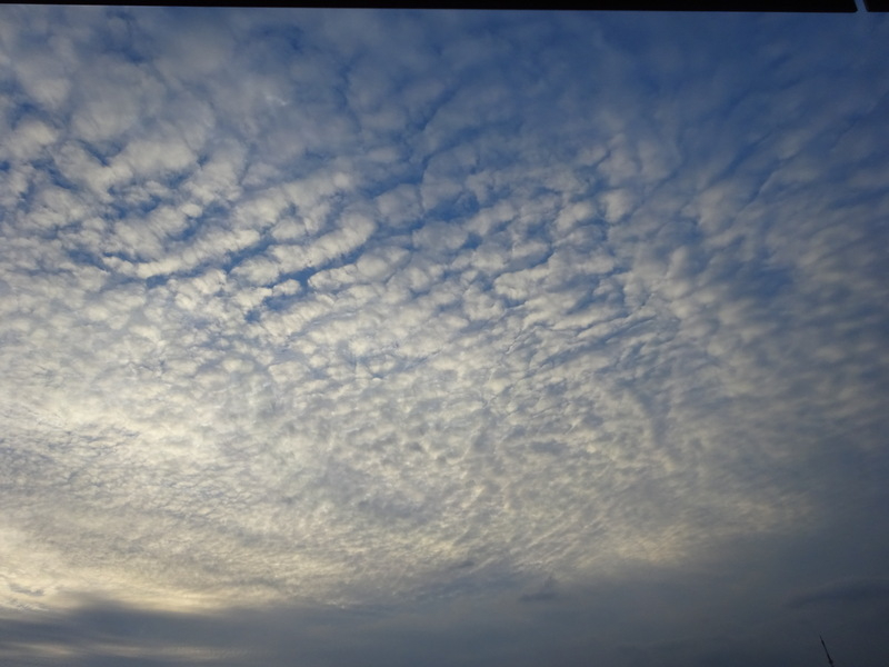 1dsc08165