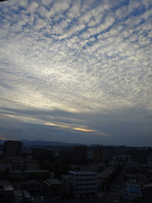 1dsc08166