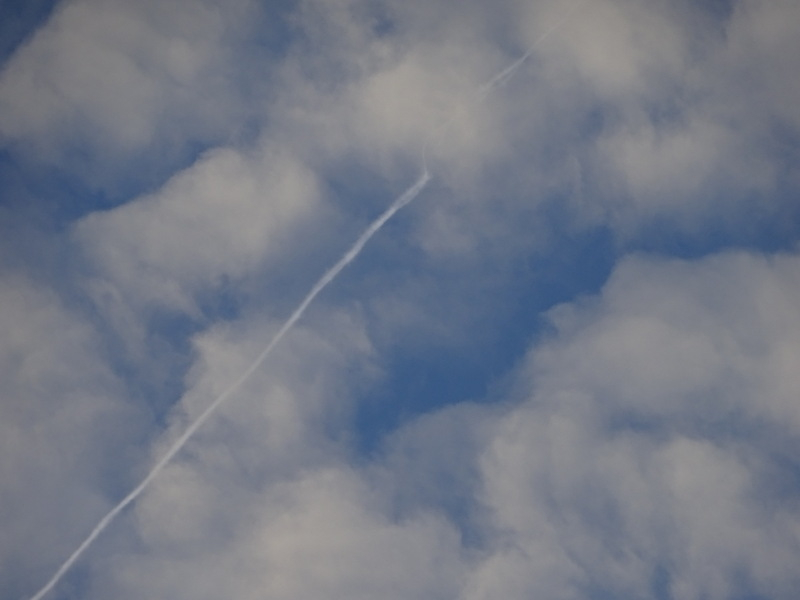 1dsc08170