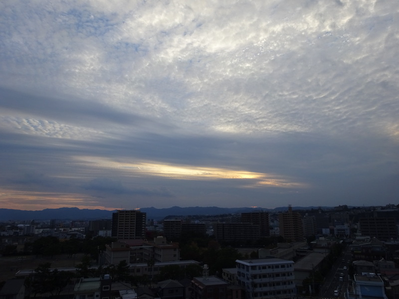1dsc08174