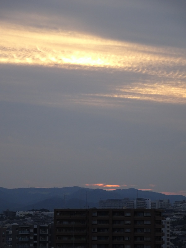 1dsc08179